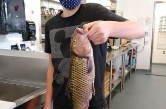 13-Year-Old Sets New Md. State Fishing Record
