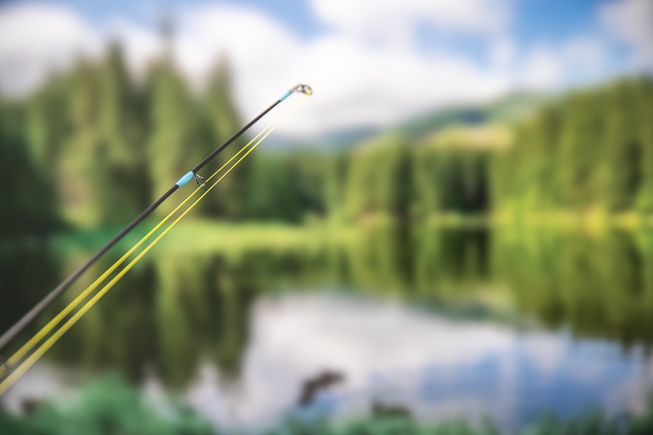 Fishing Rod Action Guide