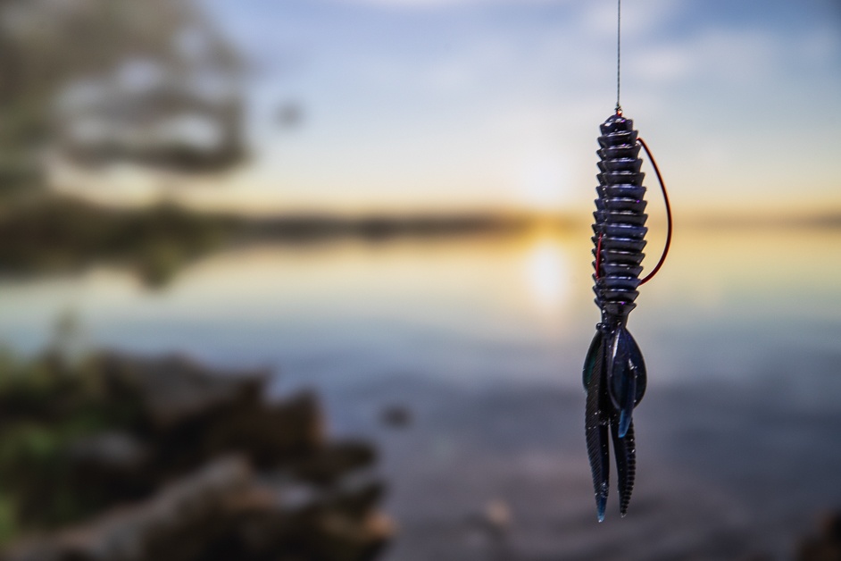 The Ultimate Guide to Weightless Rig for Bass Fishing
