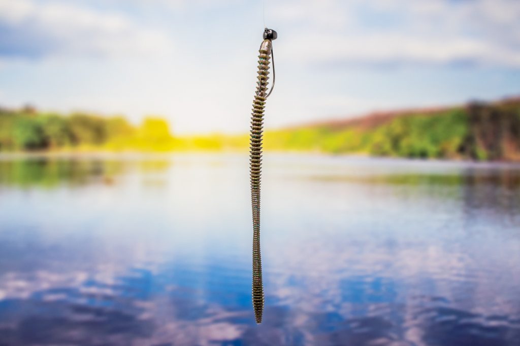 Shaky Head Rig FishRook