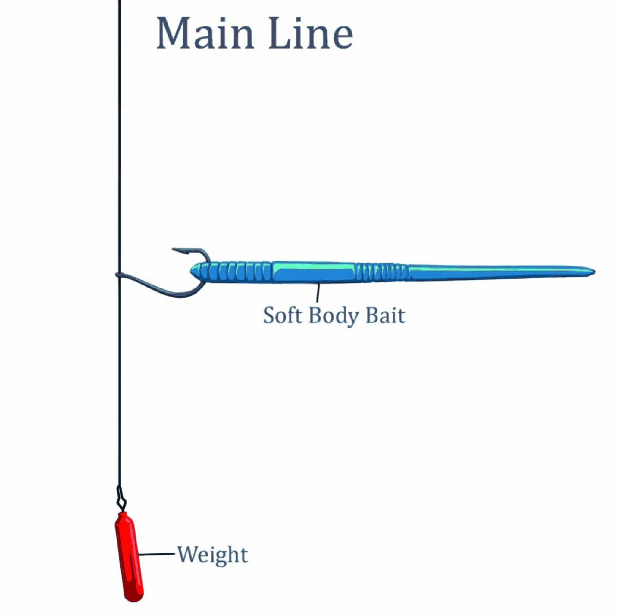 The Ultimate Guide to the Drop Shot Rig for Bass Fishing - FishRook