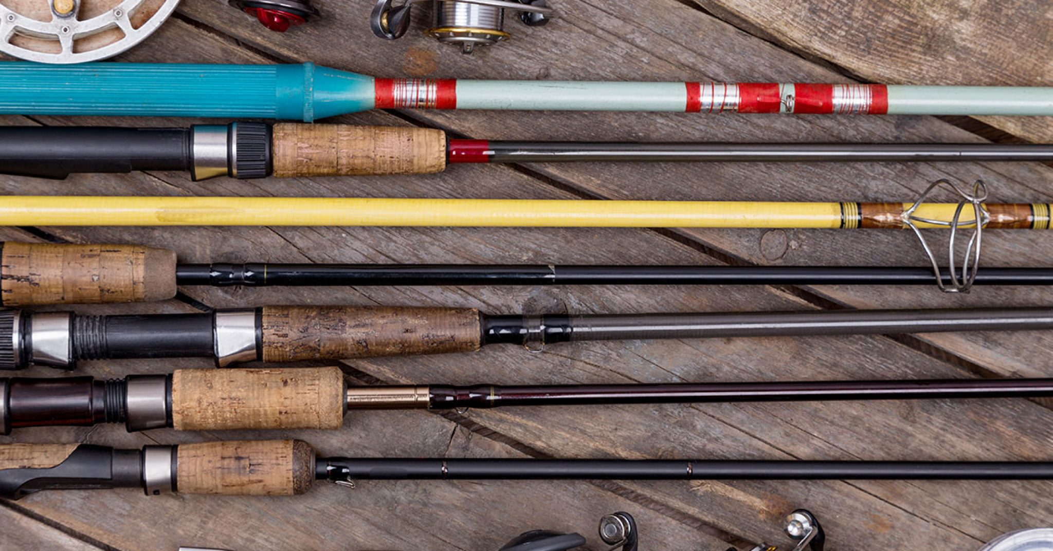 The Different Types Of Fishing Rods Explained - FishRook