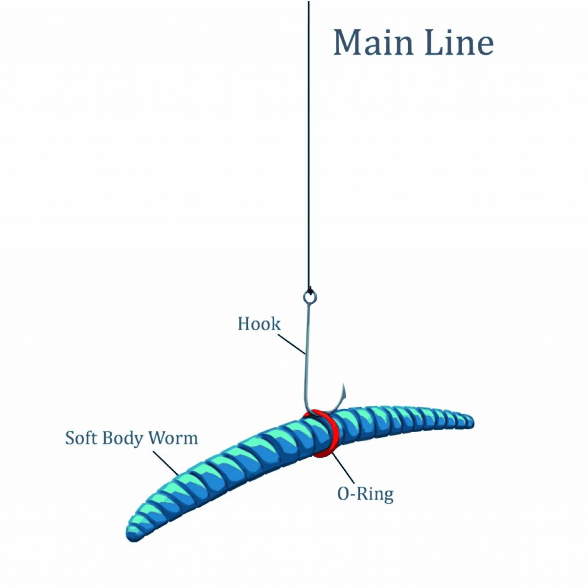 Wacky Rig Fishing Guide for Beginner Fishermen FishRook