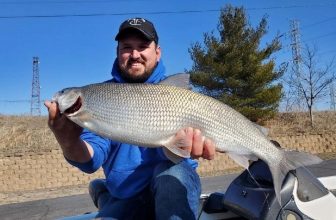 A man holds up a large whitefish.
