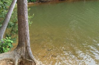 Moss Lake will be the site of the tournament May 22.