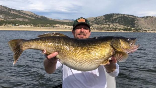 Helena angler recounts catching state record walleye | Montana Untamed