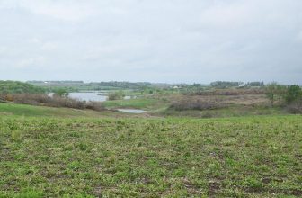 OUTDOOR NEWS: Badger Creek benefits from change to prairie | Sports