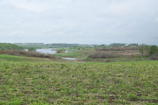 OUTDOOR NEWS: Badger Creek benefits from change to prairie | Sports