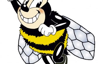 Spirit Lake to honor military