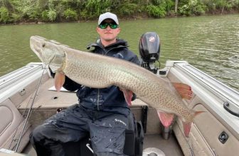 West Virginia Fishing Guide Lands Massive Muskie