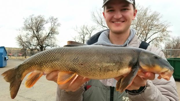 Montana announces fifth record-breaking fish in less than a year
