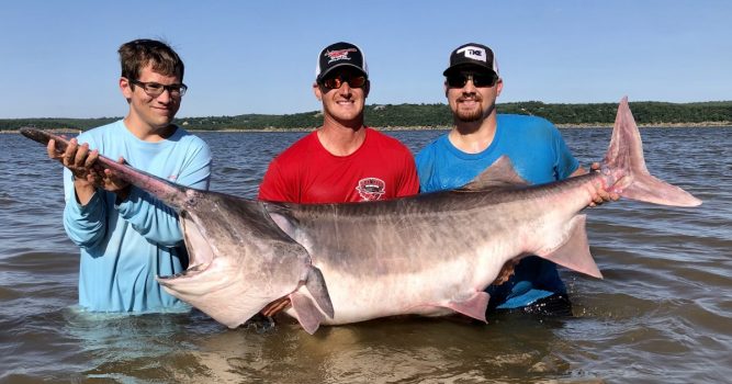World and state-record paddlefish caught at Keystone Lake
