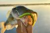 Best Summer Bass Fishing Lures 2021