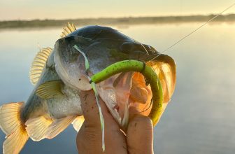 Best Summer Bass Fishing Lures 2021