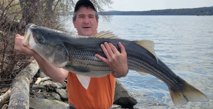 Hudson River striped bass fishing bonanza: Anglers share photos of their impressive catches