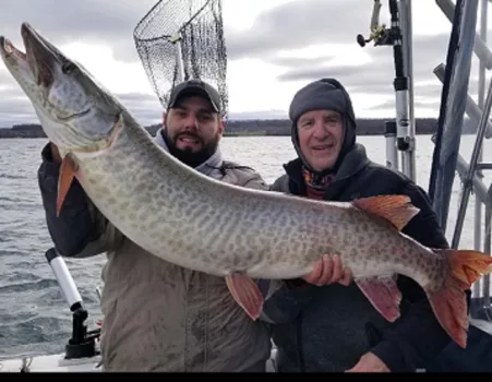 Alarming muskie decline in the St. Lawrence River: Invasive fish species, virus could be contributing
