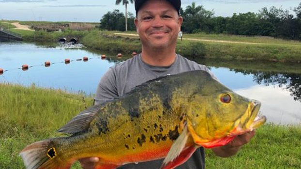 Fisherman breaks nearly 30-year-old record in Florida