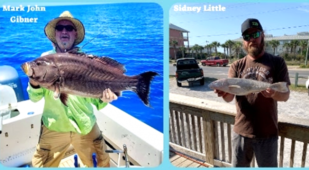 FWC Approves Three New Florida Saltwater All-Tackle Fishing Records After Monster Summer Season