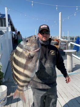 James Torborg holding news sheepshead record of 13.9 pounds caught in Reynolds Channel south shore of Long Island