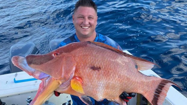 Florida Spear Fisherman Sets Hogfish Record