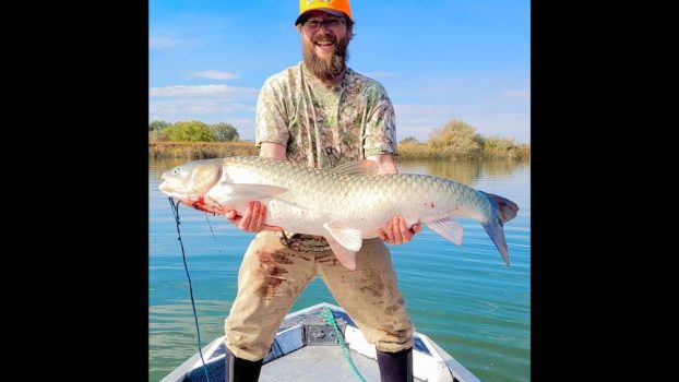 Giant Idaho Grass Carp Breaks State Record, Could Be World Record