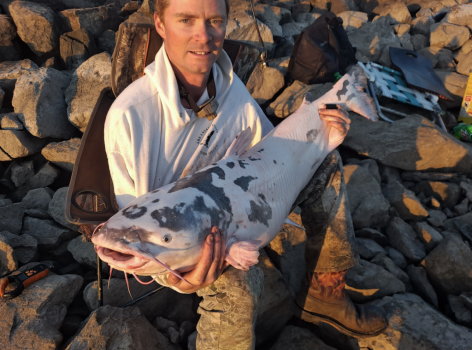 Chad Hester caught this piebald blue cat last week.