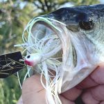 How to Use the ZMan Jackhammer for Bass Fishing