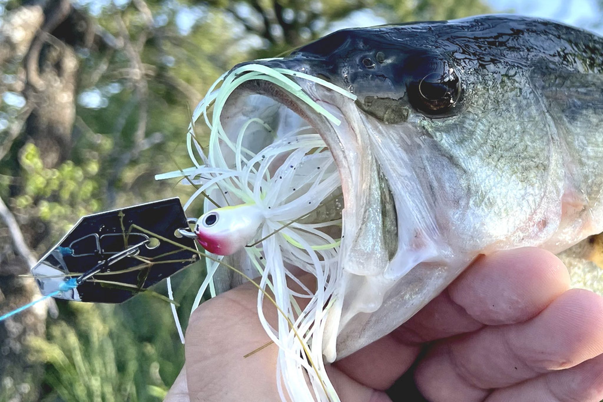 How To Use The Zman Jackhammer For Bass Fishing Fishrook