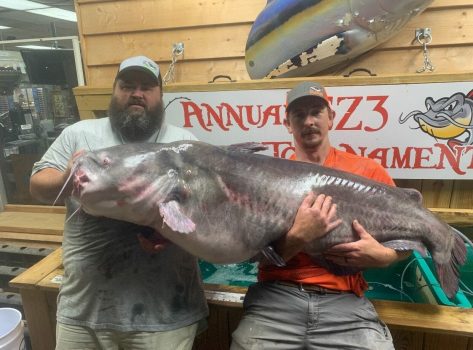 two men post with giant record fish that