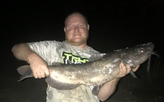The state fishing record that wasn’t: Species of angler’s catfish disproved by DNA test