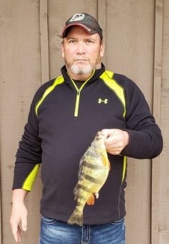 Webster County angler Brian Holiday  caught this state-record yellow perch at  Bull Shoals Lake Jan. 27