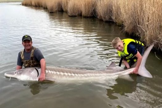 12-Year-Old Ties Idaho Fishing Record With Nearly 10 Footer