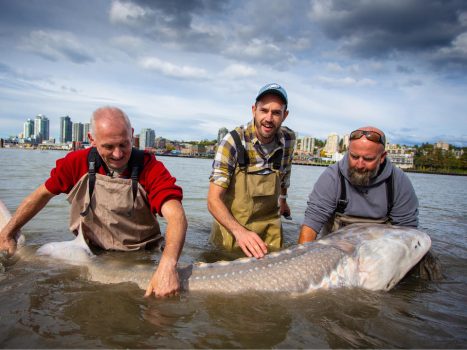 12-year-old boy catches 9-foot, 11-inch sturgeon to tie Idaho state record | Polarbear