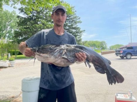 This 53.35-pound flathead catfish caught in Berrien County broke the state record