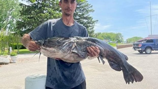 Indiana man catches Michigan's largest-ever catfish in St. Joe River