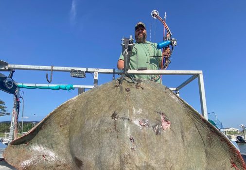 Pennsylvania Man Secures A Bowfishing World Record After Bagging A 7-Foot, 222.5 Lb Butterfly Ray