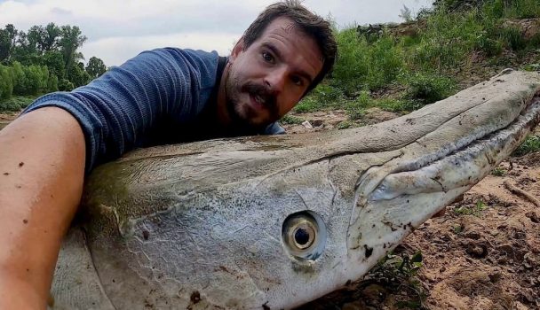Angler chokes up after catching and releasing 300-pound alligator gar