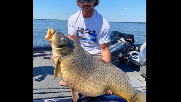 Angler fishing for bass shatters 44-year-old carp record