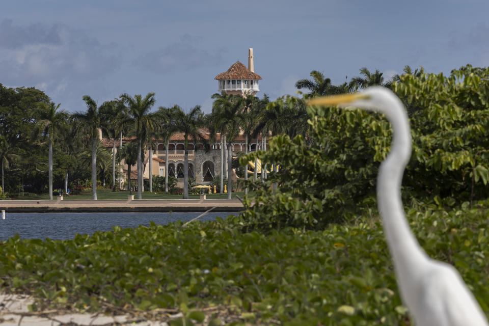 A great egret stands near former President Donald Trump's Mar-a-Lago resort.