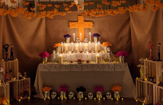 Local artist transforms garage into immersive Day of the Dead altar | News