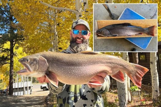 Record trout caught in Colorado for 3rd time this year: 'Really special fish'