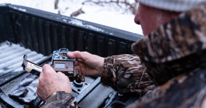 Best Trail Cameras for Scouting | Cellular and Non-Cellular