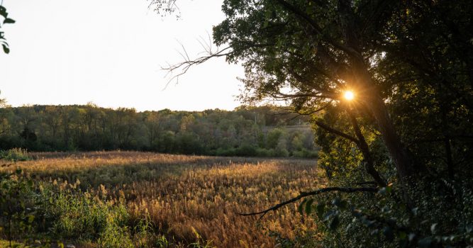 Does a Deer Hunting Lease Make Sense for You?