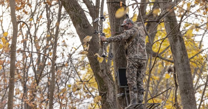 How These Deals Will Help Whitetail Conservation