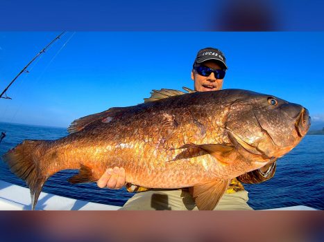 Near Record 75-Pound Cubera Snapper Caught and Released