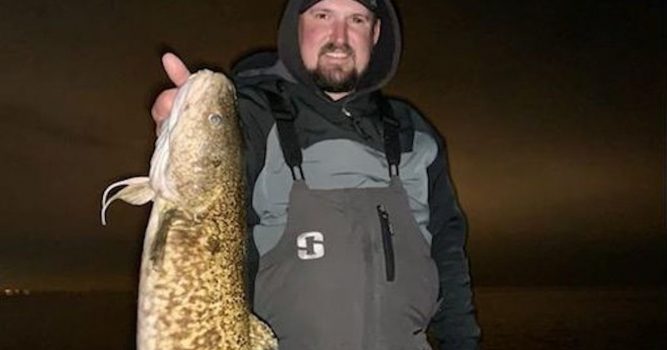32-Year-Old Burbot Record Broken Twice in Two Weeks