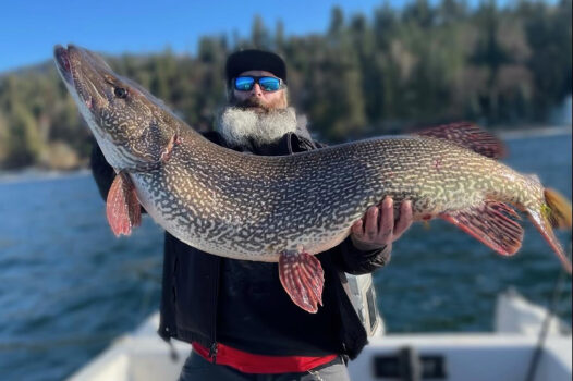Behemoth State Record Northern Pike Caught in Idaho