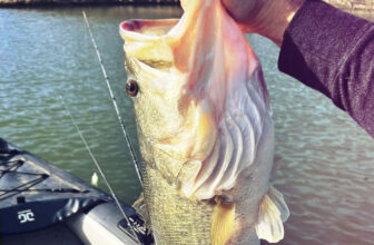 Best fishing kayak 2023 reviews