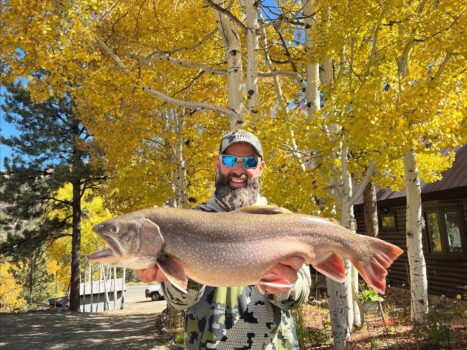 Colorado Angler Breaks State Brook Trout Record