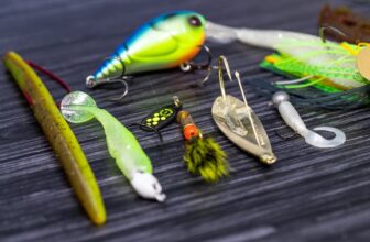 The Best Spring Bass Lures|crankbaits for spring bass fishing|spinnerbaits for spring bass fishing|spring bass fishing jigs|spring bass fishing worms|spring bass fishing topwater lures